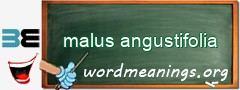 WordMeaning blackboard for malus angustifolia